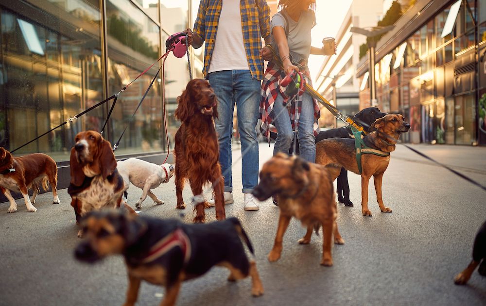 The Gossip Column: February 3, 2023